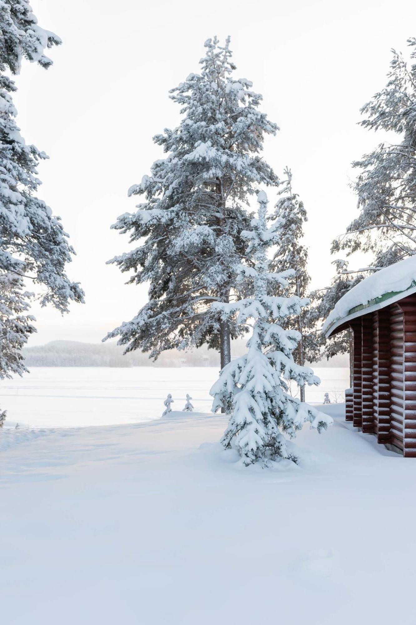 Lapland Arctic Cabins Kemijärvi Extérieur photo