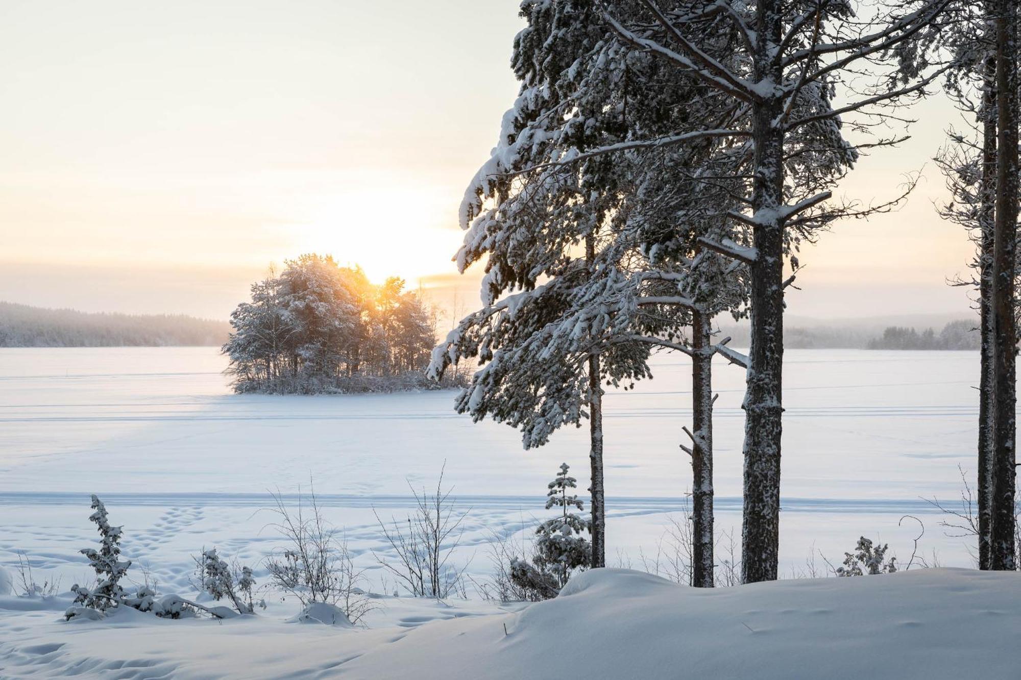 Lapland Arctic Cabins Kemijärvi Extérieur photo