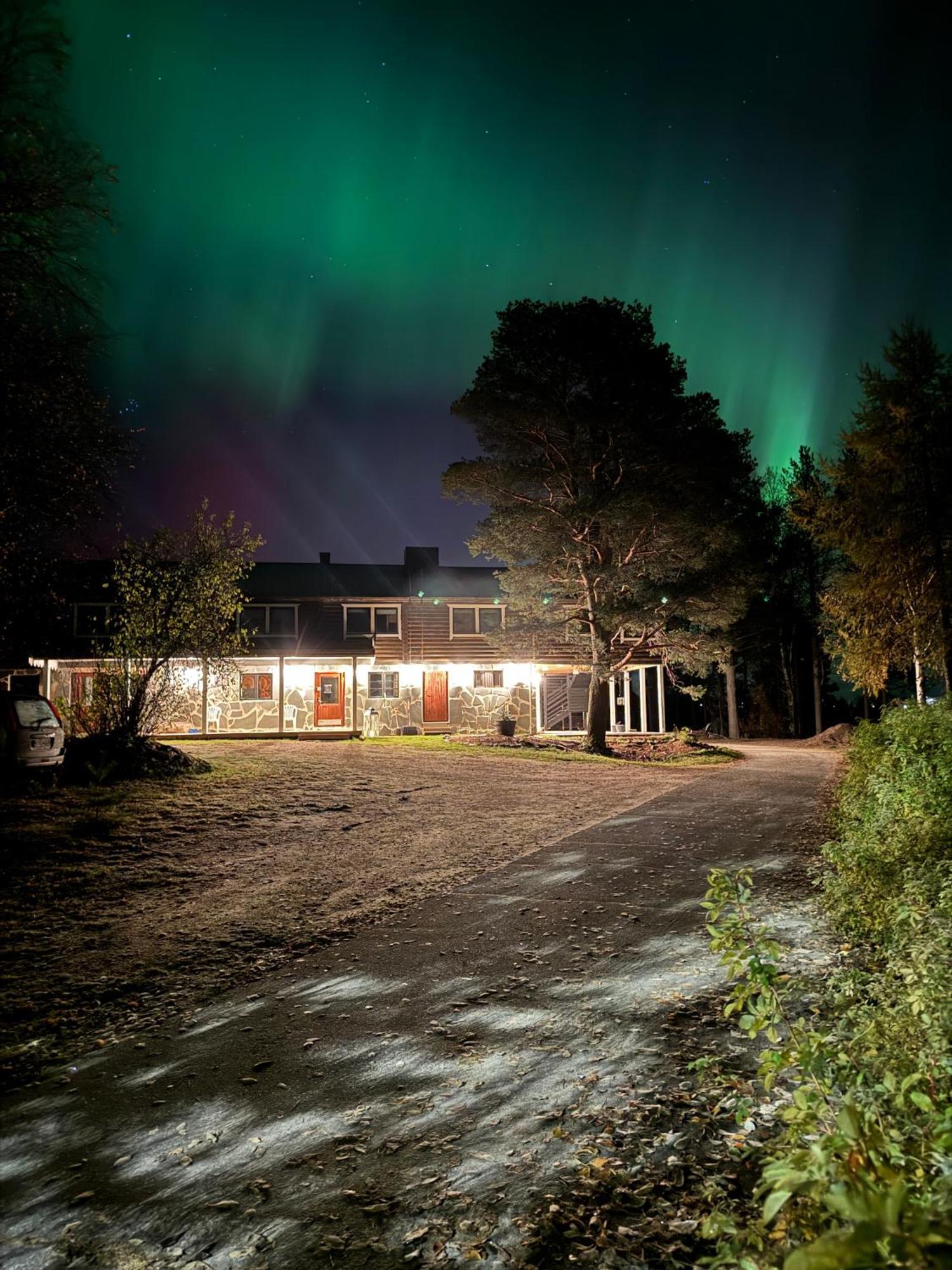 Lapland Arctic Cabins Kemijärvi Extérieur photo